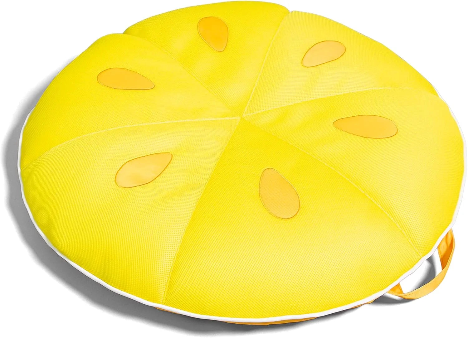 Big Joe Fruit Pool Floats, No Inflation Needed, Quick Draining Fabric, Round Loungers and Pool Noodles bifanuoyard - Image 3