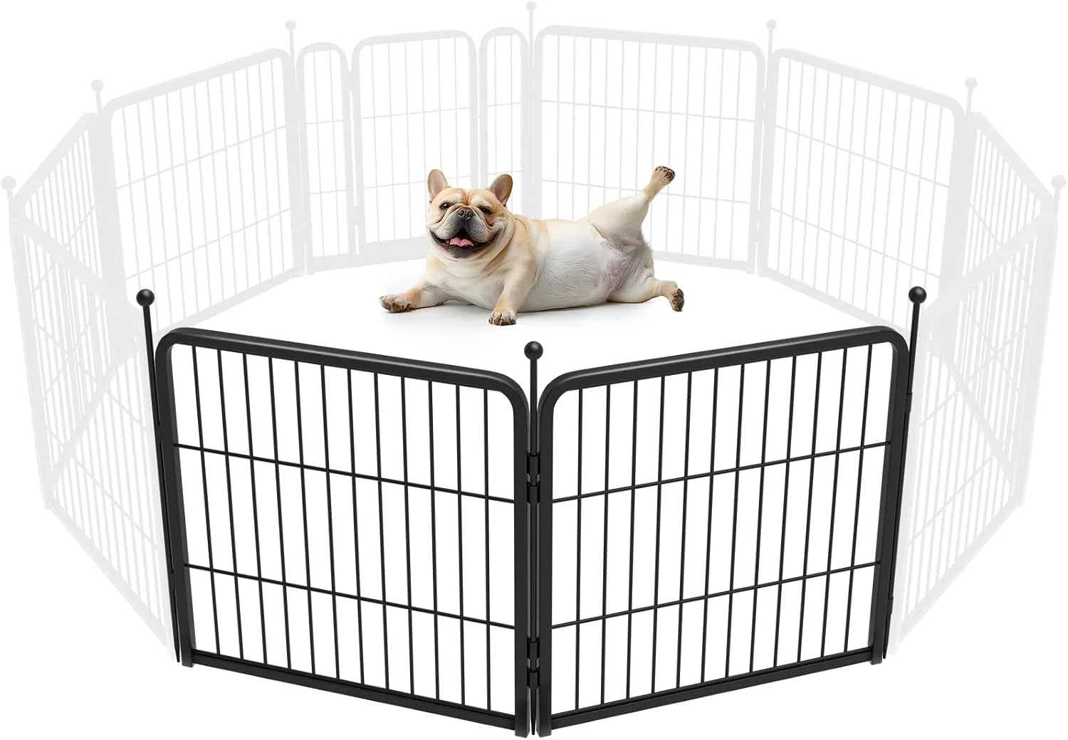 New Arrivals Rollick Dog Playpen, Indoor, 24 H, 8 Panels - Image 64